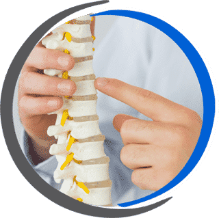 spine demo